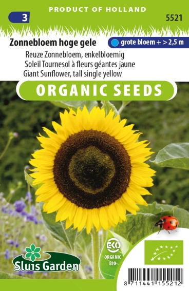 Sunflower Giganteus BIO (Helianthus) 40 seeds SL